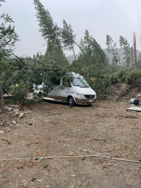 image of a sprinter van crushed under a tree after a tornado