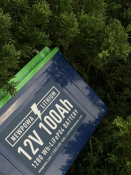 LiFePO4 Lithium Battery That Pays For Itself