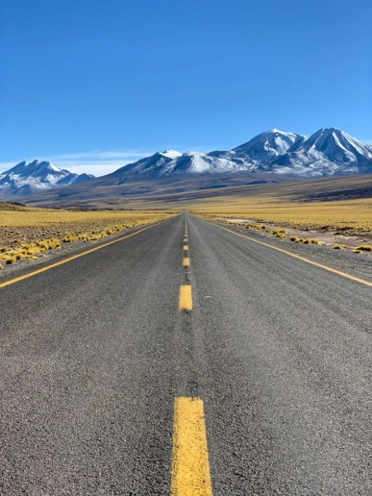 Driving in Mexico: What You Really Need to Know