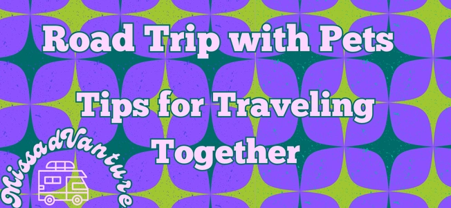 Road Trip with Pets: Tips for Traveling Together