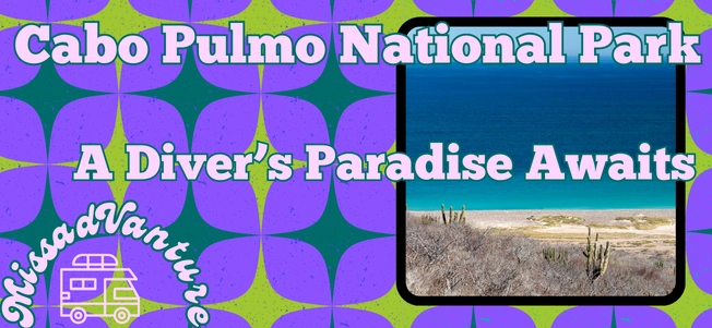 Cabo Pulmo National Park: A Diver’s Paradise Awaits