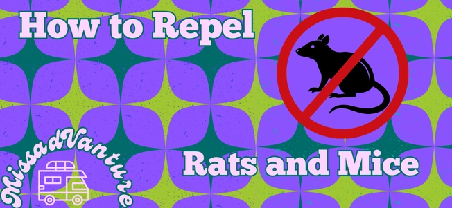 How to Repel Rats and Mice: The Ultimate Guide
