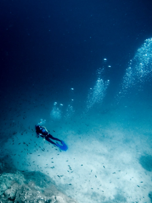 Cabo Pulmo Things to Do Besides Diving